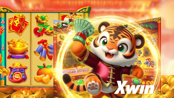 XWIN Rio de Janeiro - Licenses